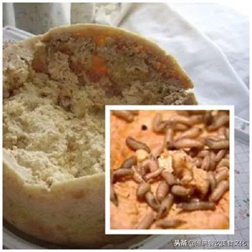 活蛆奶酪——卡苏马苏，隐藏在黑暗料理背后的佳肴！