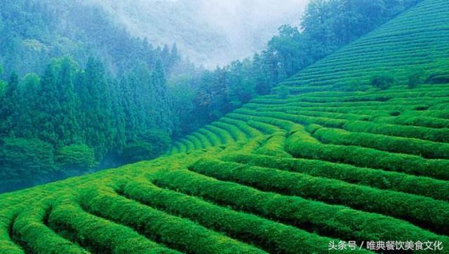 陕西饮食习俗——茶俗