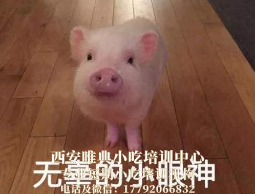 猪肉降价了，多少钱1斤？58岁屠夫告诉您最低价格，您觉得贵吗？